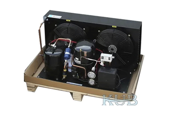 Tag4561Z 5HP Low Temperature Condensing Unit Suitable For Different Refrigerator Long Lifespan